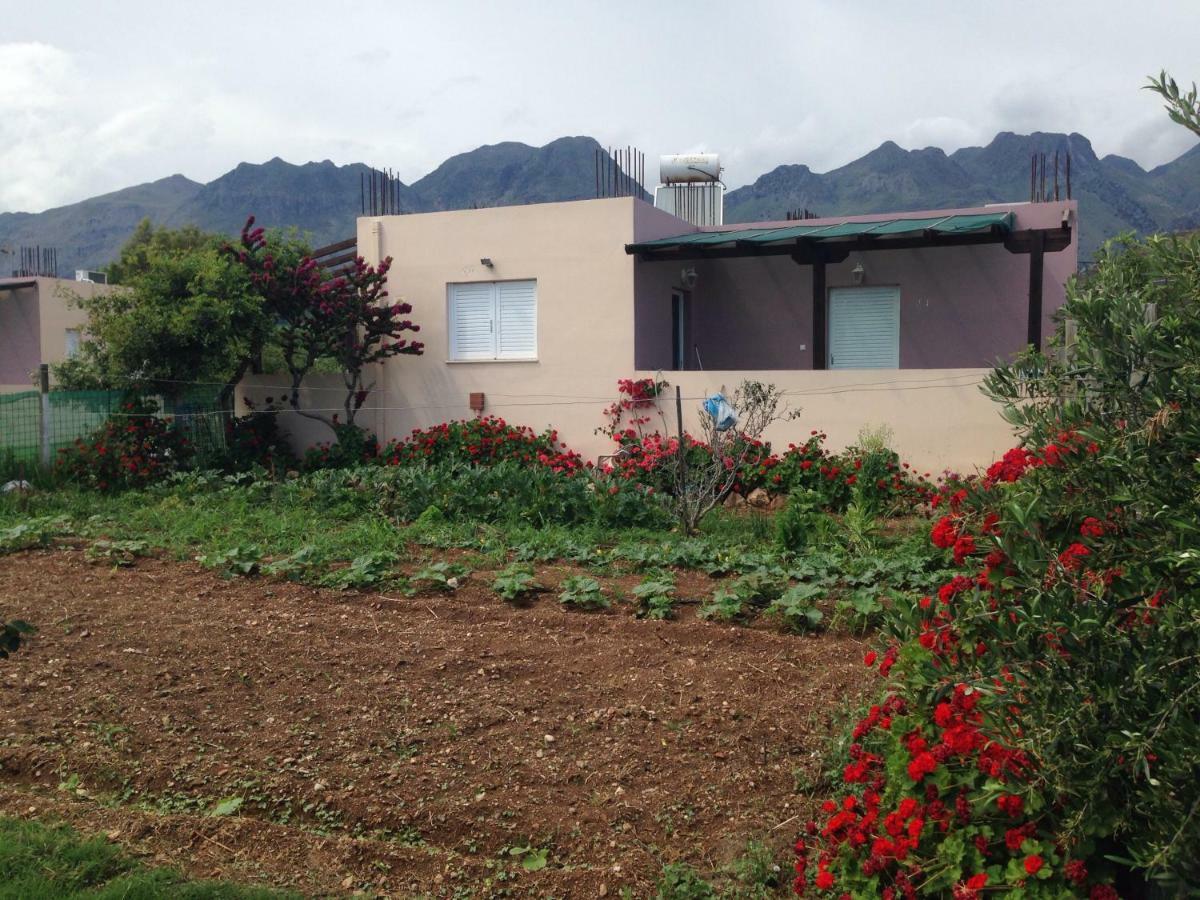 Kioni Villas 弗朗哥卡斯特隆 外观 照片